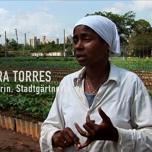 Bilder Voices of Transition