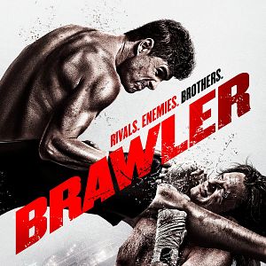 Bilder Brawler