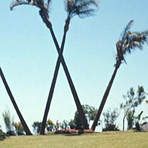 Bilder Eine total, total verrückte Welt