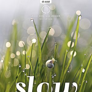 Bilder Slow - Langsam ist das neue Schnell