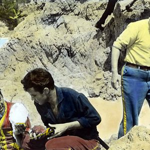 Bilder Die geheimnisvolle Insel