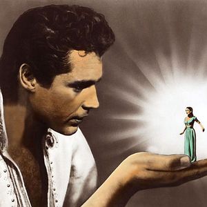 Bilder Sindbads 7. Reise