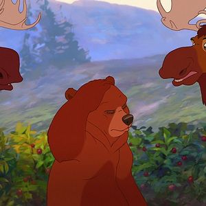 Bärenbrüder 2 Bilder und Fotos FILMSTARTS.de