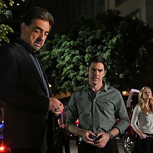 Bilder Thomas Gibson