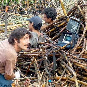 Bilder The Golden Dream