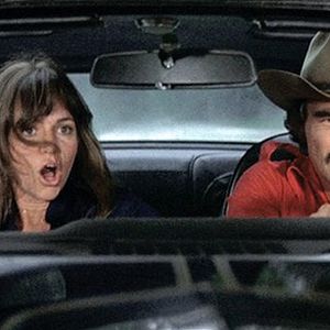 Bilder Ein ausgekochtes Schlitzohr