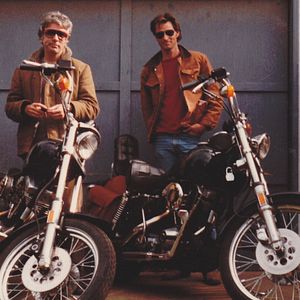 Bilder Shepard & Dark