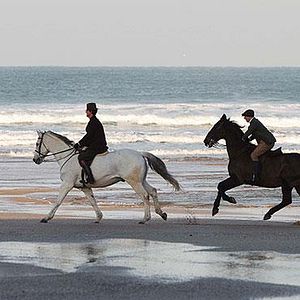 Bilder Sommer im Februar