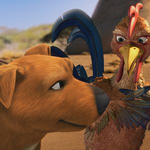 Bilder Jock - Ein Held auf 4 Pfoten