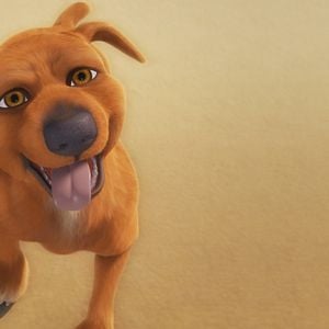 Bilder Jock - Ein Held auf 4 Pfoten