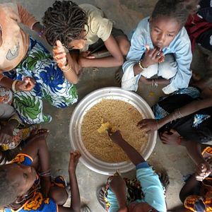 Bilder Tall As The Baobab Tree