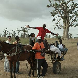 Bilder Tall As The Baobab Tree