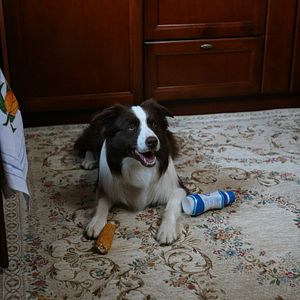 Bilder Mein Freund Max