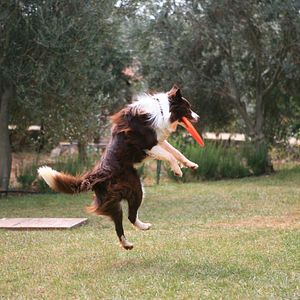 Bilder Mein Freund Max