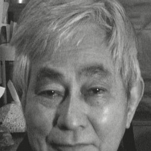 Bilder Nguyen Tuong Hung