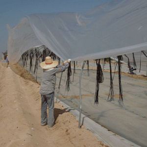 Bilder The Plain of Sodom