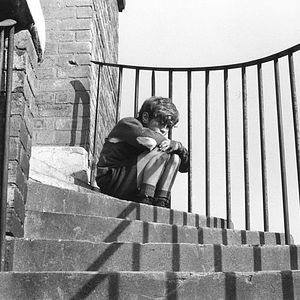 Bilder Stephen Archibald