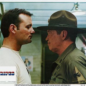 Bilder Ich glaub' mich knutscht ein Elch!