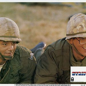 Bilder Ich glaub' mich knutscht ein Elch!