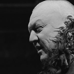 Bilder Das Turiner Pferd