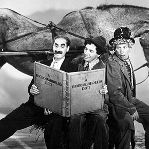 Bilder Die Marx Brothers: Ein Tag beim Rennen