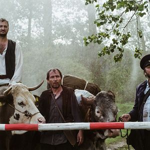 Bilder Kohlhaas oder die Verhältnismäßigkeit der Mittel