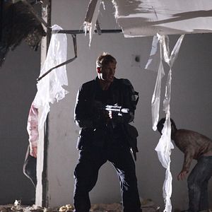 Bilder Dolph Lundgren