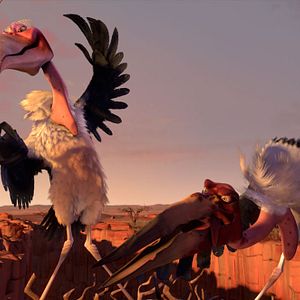 Bilder Khumba - Das Zebra ohne Streifen am Popo