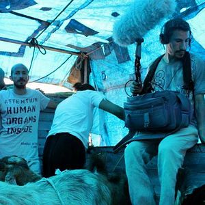 Bilder Toprağa Uzanan Eller