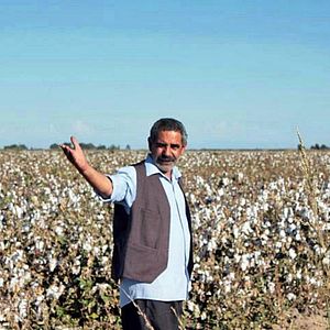 Bilder Toprağa Uzanan Eller