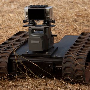 Bilder African Safari 3D