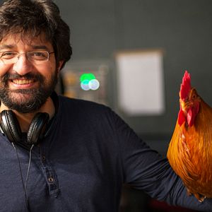 Bilder Ali Samadi Ahadi