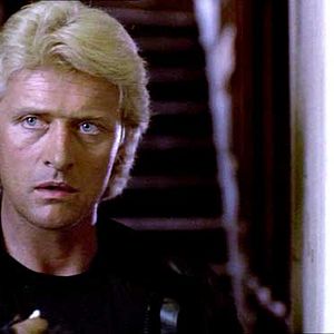 Bilder Gesucht - Tot oder lebendig