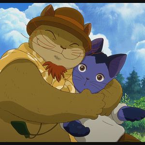 Bilder Das Leben des Budori Gusko