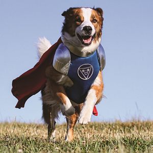 Bilder Super Buddies