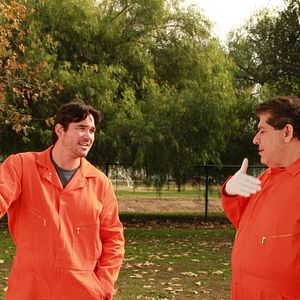 Bilder Ein Hund rettet Halloween