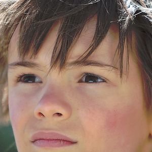 Bilder Belle & Sebastian