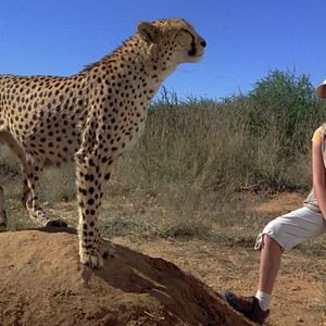 Bilder Magische Reise nach Afrika