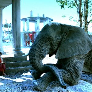 Bilder Magische Reise nach Afrika