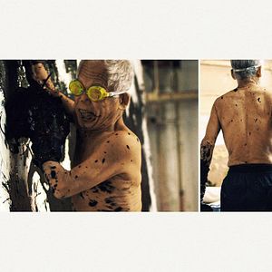 Bilder Cutie and the Boxer