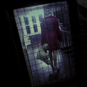 Bilder The Nesting 2 - Amityville Asylum