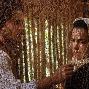 Bilder Gabriel Braga Nunes