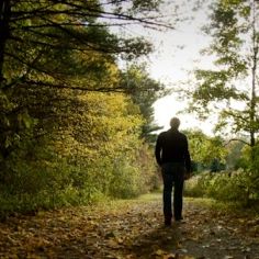 Bilder Dear Mr. Watterson