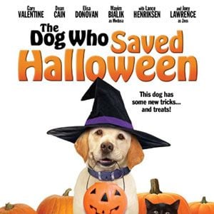 Bilder Ein Hund rettet Halloween