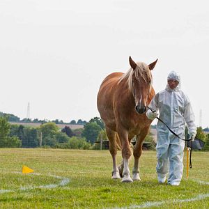 Bilder On Landguard Point