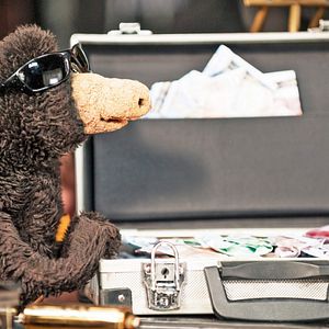 Bilder Geld her oder Autsch'n!