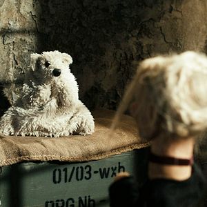 Bilder Geld her oder Autsch'n!