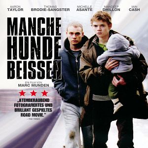 Bilder Manche Hunde beißen