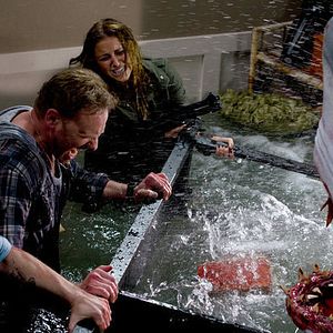 Bilder Sharknado - Genug gesagt!