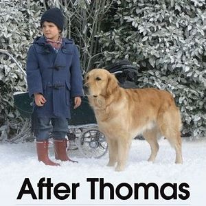 Bilder Mein Freund auf vier Pfoten